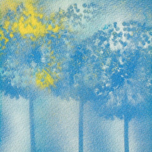 Allium 01