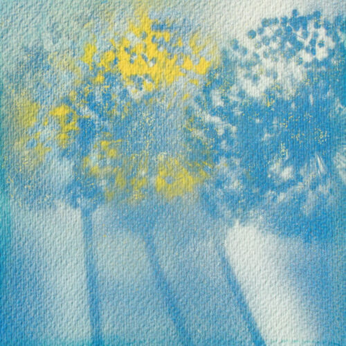 Allium 02