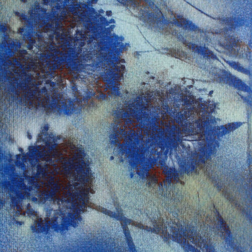 Flor d’Àngel 02