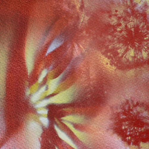Strelitzia 01