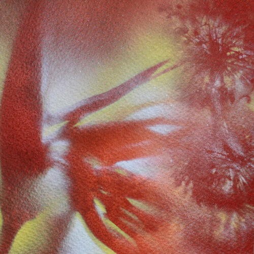 Strelitzia 02