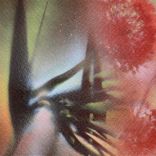 Strelitzia 03