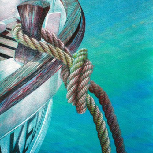 Lligams