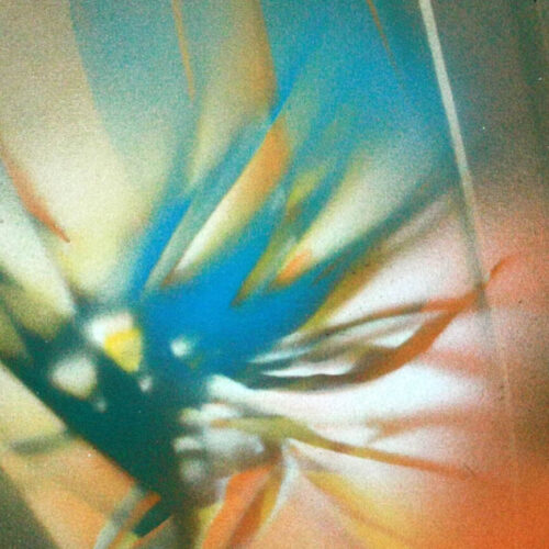 Strelitzia Trip 03